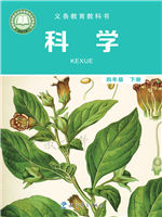 教科版四年级科学下册(2020版)教材